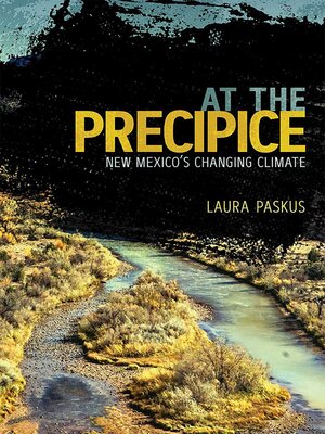 cover image of At the Precipice